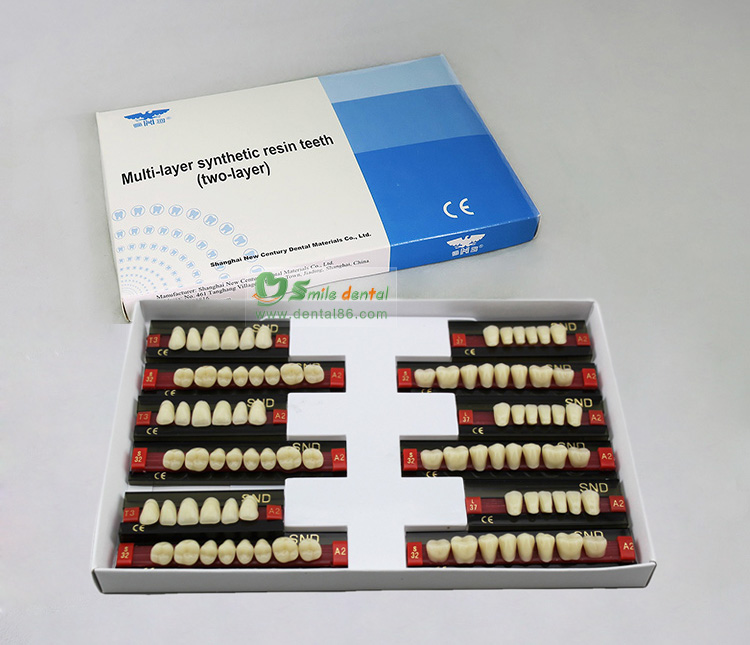 R201 Two Layer Acrylic Resin Teeth